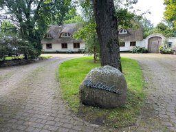 IMG_0193